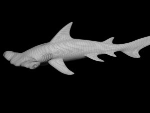 3D printableshark hammerhead fish Modello di stampa 3D