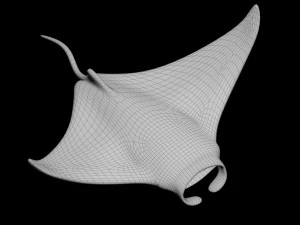 3D printablestingray fish 3D Print Model