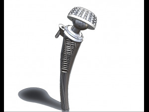 PROSTHESIS Model 3D