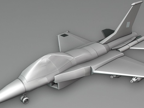 Indian Fighter Jet 3D Model