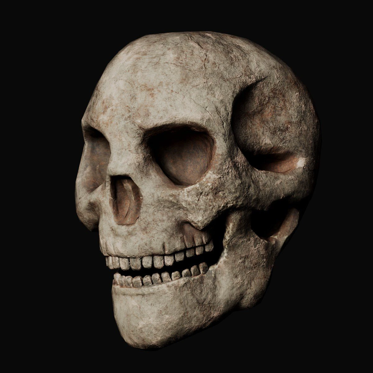 Skull and Three type Bones 3D Model .c4d .max .obj .3ds .fbx .stl .blend 