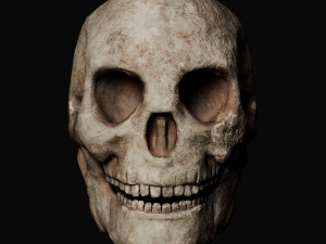 Skull and Three type Bones Modelo 3D