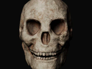 Skull and Three type Bones 3D Model