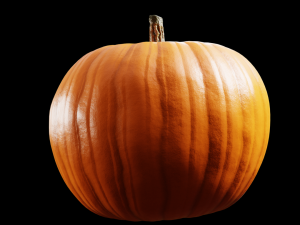 Pumpkin Modelo 3D