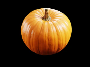 Pumpkin 3D Model