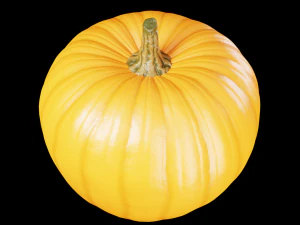 Pumpkin 3D Model