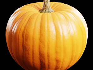 Pumpkin 3D Model