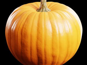 Pumpkin 3D Model