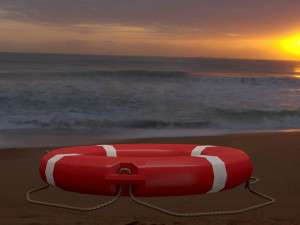 Lifeline Rescue Emergency Survival Safety line Model 3D