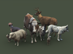 Animal Pack Vol 1 3D Модель