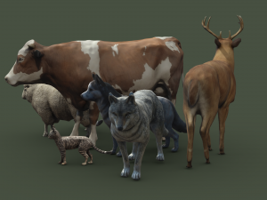 Animal Pack Vol 1 3D Модель