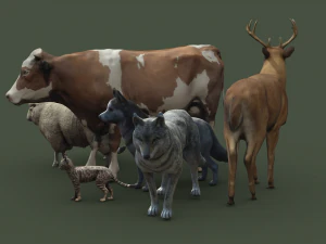 Animal Pack Vol 1 3D Model