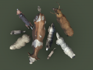 Animal Pack Vol 1 3D Модель