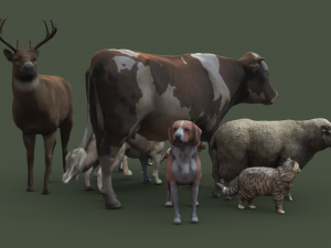 Animal Pack Vol 1 3D Модель
