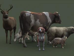 Animal Pack Vol 1 3D Model