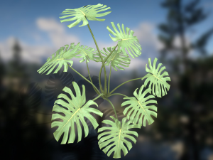 Monstera Deliciosa Swiss Cheese Plant 3Dモデル