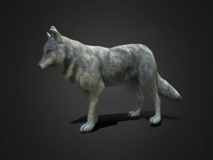 Wolf 3D Modell