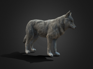 Wolf Modèle 3D