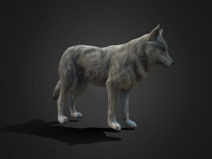 늑대 3D 모델