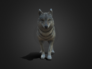 Wolf Modèle 3D