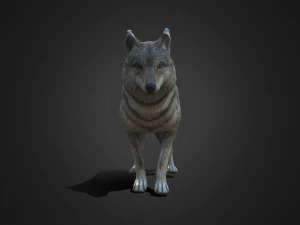 늑대 3D 모델