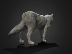 늑대 3D 모델