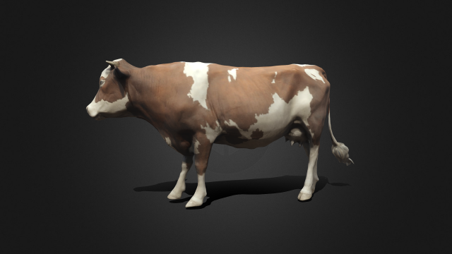Cow 3Dモデル .c4d .max .obj .3ds .fbx .stl .blend 