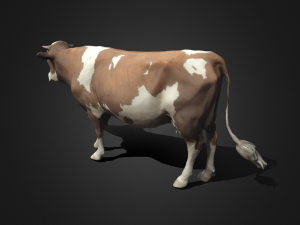 Cow 3Dモデル