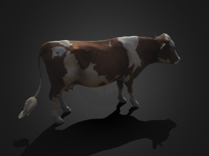 Cow 3Dモデル