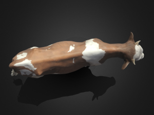 Cow 3Dモデル