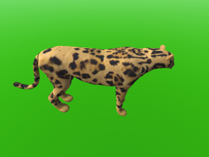 Tiger Like Cheetah 3D मॉडल