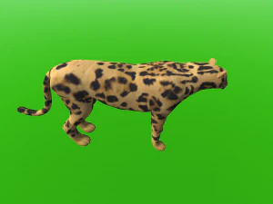 老虎像猎豹 3D 模型