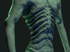 Fichier de projet Zpr de sculpture de cr&eacute;ature foresti&egrave;re high-poly Fichier Obj Modèle 3D