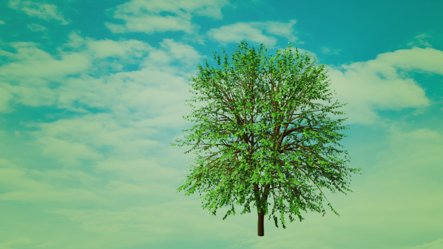 3d tree model 3Dモデル .c4d .max .obj .3ds .fbx .stl .blend 