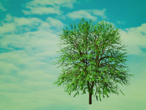 Modello di albero 3D Modello 3D