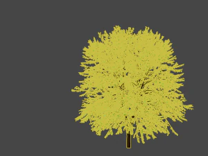 3d tree model 3D Model