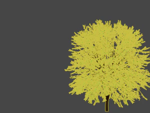3d tree model 3D Model