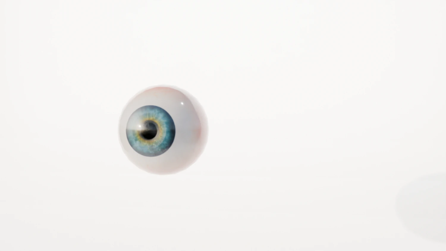 Eye 3D Model .c4d .max .obj .3ds .fbx .stl .blend 