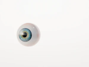 Eye 3D Model