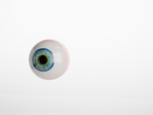 Eye Modello 3D