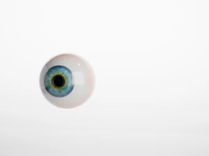 Eye 3D Model