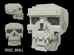 Voxel Human Skull 3Dモデル