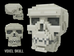 Cr&acirc;nio Humano Voxel Modelo 3D