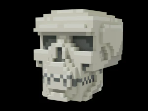 Voxel Human Skull 3D Model