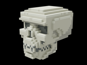 Voxel Human Skull 3D Model
