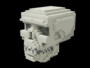 Voxel Human Skull 3D Model