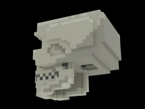Voxel Human Skull 3D Model