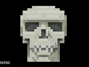 Voxel Human Skull 3D Model