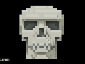 Voxel Human Skull 3D Model