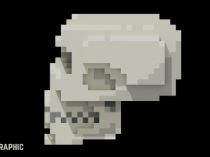 Voxel Human Skull 3D Model